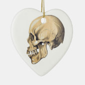 Illustration der Vintagen Schädelanatomie Keramik Ornament (Rechts)