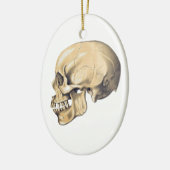 Illustration der Vintagen Schädelanatomie Keramik Ornament (Links)