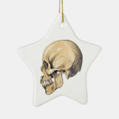Illustration der Vintagen Schädelanatomie Keramik Ornament (Rechts)