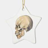Illustration der Vintagen Schädelanatomie Keramik Ornament (Links)