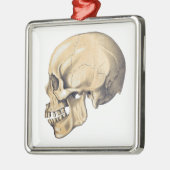 Illustration der Vintagen Schädelanatomie Ornament Aus Metall (Links)