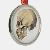 Illustration der Vintagen Schädelanatomie Ornament Aus Metall (Rechts)