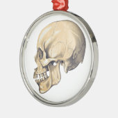 Illustration der Vintagen Schädelanatomie Ornament Aus Metall (Links)
