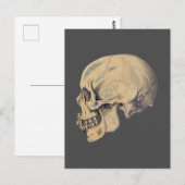 Illustration der Vintagen Schädelanatomie Postkarte (Vorne/Hinten)