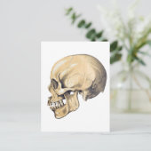 Illustration der Vintagen Schädelanatomie Postkarte (Stehend Vorderseite)