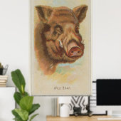 Illustration der Vintagen Wildschweine (1888) Poster (Heimbüro)
