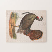 Illustration der Vintagen Wildtürkei (1872) Puzzle (Horizontal)