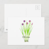 Illustration der Wasserfarbenkraut Postkarte (Vorne/Hinten)