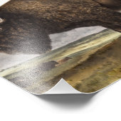 Illustration des amerikanischen Bison (Bos America Fotodruck (Ecke)