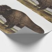 Illustration des amerikanischen Bison (Bos America Geschenkpapier (Ecke)