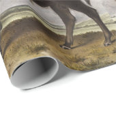 Illustration des amerikanischen Bison (Bos America Geschenkpapier (Rolleneckpunkt)