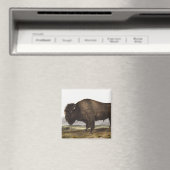 Illustration des amerikanischen Bison (Bos America Magnet (In Situ (Geschirrspüler))