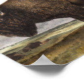 Illustration des amerikanischen Bison (Bos America Poster (Ecke)