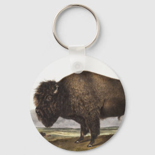 Illustration des Amerikanischen Bisons (Bos Americ Schlüsselanhänger