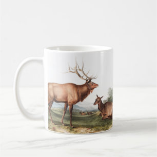 Illustration des amerikanischen Elchs (Cervus Cana Kaffeetasse