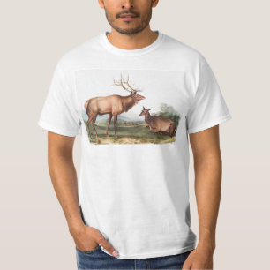 Illustration des amerikanischen Elchs (Cervus Cana T-Shirt