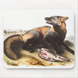 Illustration des amerikanischen Kreuzfuchses (Cani Mousepad