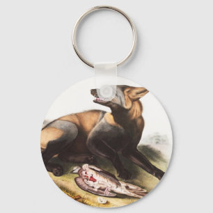 Illustration des Amerikanischen Kreuzfuchses (Cani Schlüsselanhänger