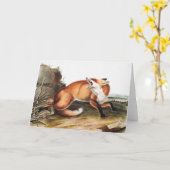 Illustration des Amerikanischen Rotfuchs (Vulpes F Karte (Gelbe Blume)