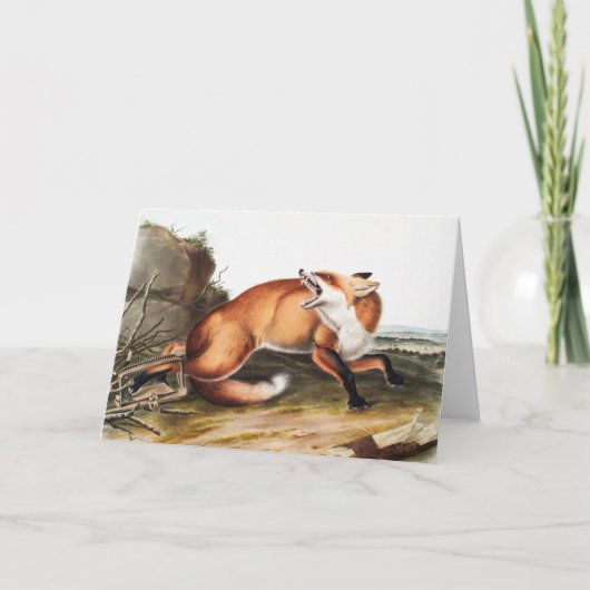 Illustration des Amerikanischen Rotfuchs (Vulpes F Karte (Vorderseite)