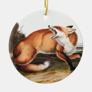 Illustration des Amerikanischen Rotfuchs (Vulpes F Keramik Ornament