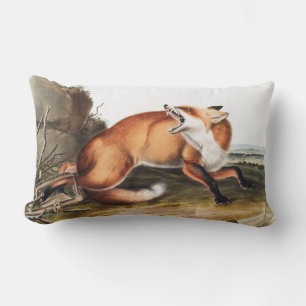 Illustration des Amerikanischen Rotfuchs (Vulpes F Lendenkissen