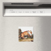 Illustration des Amerikanischen Rotfuchs (Vulpes F Magnet (In Situ (Geschirrspüler))
