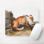 Illustration des Amerikanischen Rotfuchs (Vulpes F Mousepad (Mit Mouse)