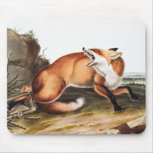 Illustration des Amerikanischen Rotfuchs (Vulpes F Mousepad