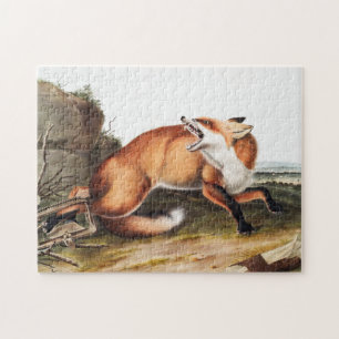 Illustration des Amerikanischen Rotfuchs (Vulpes F Puzzle