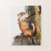 Illustration des Amerikanischen Rotfuchs (Vulpes F Puzzle (Vertikal)