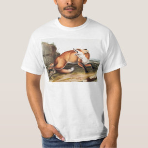Illustration des Amerikanischen Rotfuchses (Vulpes T-Shirt