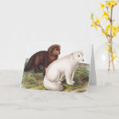 Illustration des Arktischen Foxes (Vulpes lagopus) Karte (Gelbe Blume)