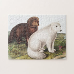 Illustration des Arktischen Foxes (Vulpes lagopus) Puzzle