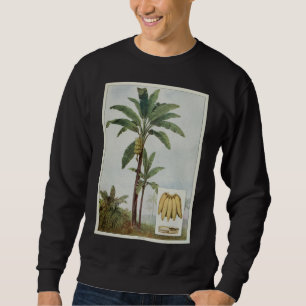 Illustration des Bananenbaums Sweatshirt
