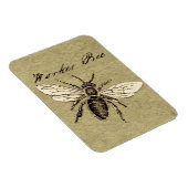 Illustration des Bieneninsekts Magnet (Rechte Seite)