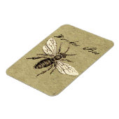Illustration des Bieneninsekts Magnet (Linke Seite)