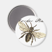 Illustration des Bieneninsekts Magnet (Vorderseite/Rückseite)