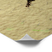 Illustration des Bieneninsekts Poster (Ecke)