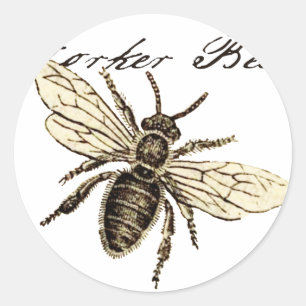 Illustration des Bieneninsekts Runder Aufkleber