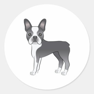 Illustration des blauen und weißen Boston Terrier  Runder Aufkleber