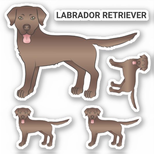 Illustration des braunen Labrador Retriever Cartoo Aufkleber (Vorderseite)