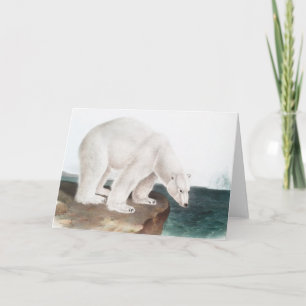 Illustration des Eisbären (Ursus maritimus) Karte