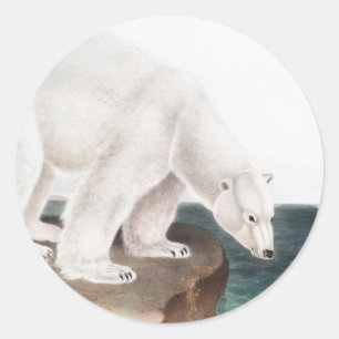 Illustration des Eisbären (Ursus maritimus) Runder Aufkleber