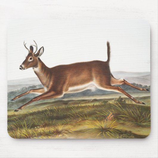 Illustration des Hirns (Cervus leucurus) Mousepad (Vorne)