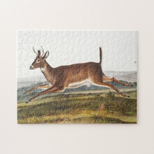 Illustration des Hirns (Cervus leucurus) Puzzle (Horizontal)