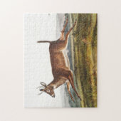 Illustration des Hirns (Cervus leucurus) Puzzle (Vertikal)