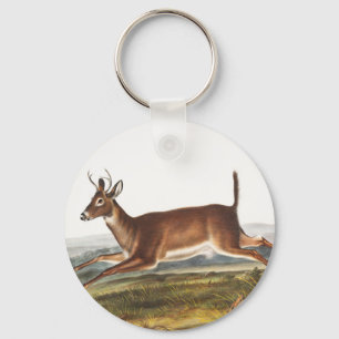 Illustration des Hirns (Cervus leucurus) Schlüsselanhänger