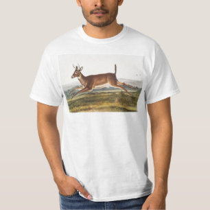 Illustration des Hirns (Cervus leucurus) T-Shirt