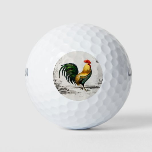 Illustration des Hühnerbruchs aus dem 18. Jahrhund Golfball (Vorderseite)